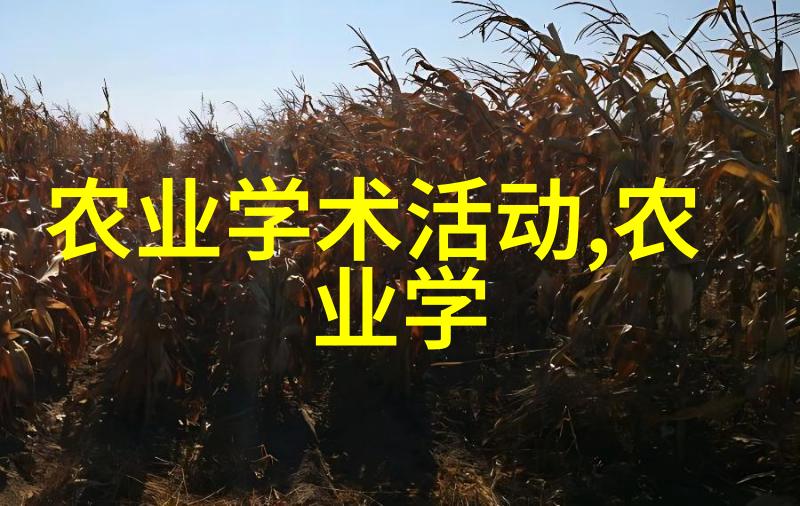 300只蜜蜂养出一位蜂王四季摇取蜂蜜的秘诀