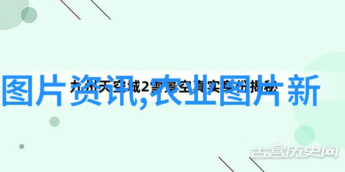 现代农业技术在农村牛羊养殖中的应用现状如何