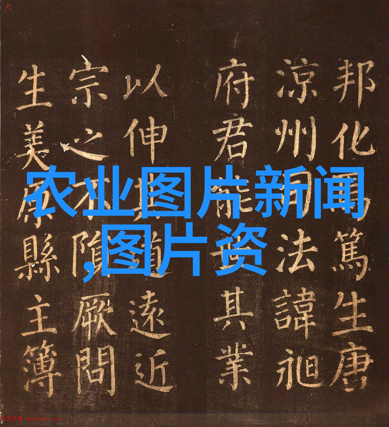 园林技术专升本考什么我要考进去掌握这些科目就能成为园林设计的高手