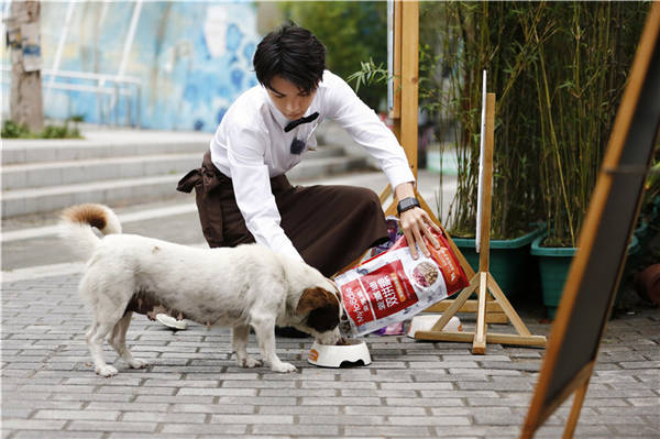 春不老吕梁市绿色食品马铃薯生产技术的反复探究