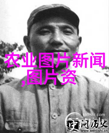 民族文化的灯塔探索中央民族大学的教育特色与社会贡献