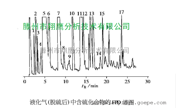 水培蔬菜的诱惑与危险在家中种植的秘密告警