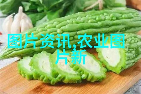 茶的起源与文化探究-从云南到世界揭秘茶叶的古老传奇