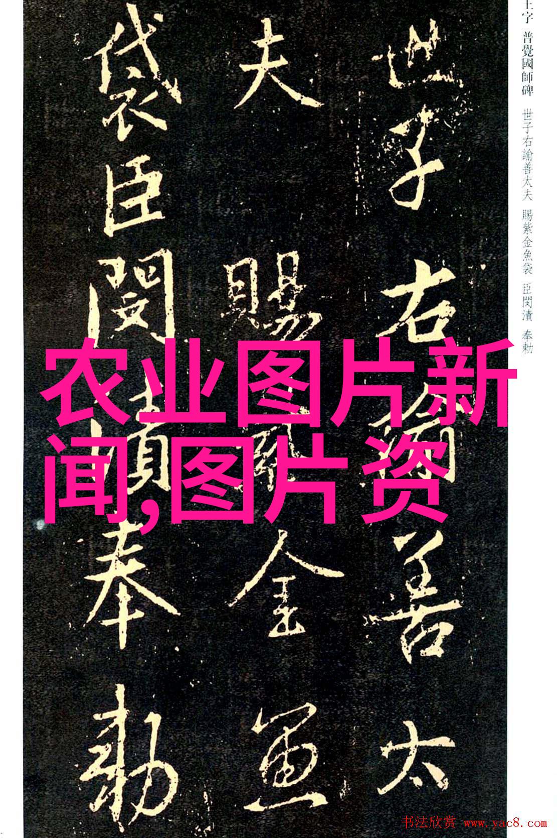 秋播佳时8月至9月适合种植的农作物选择与技巧