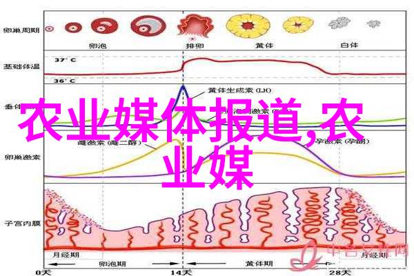 水上蔬菜无土水培的新篇章