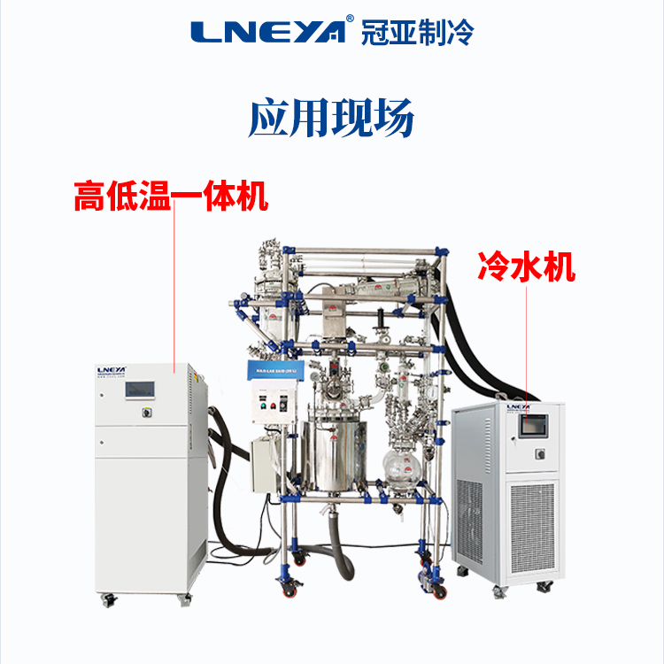 探索未知的菌界新发现的微生物及其潜在应用