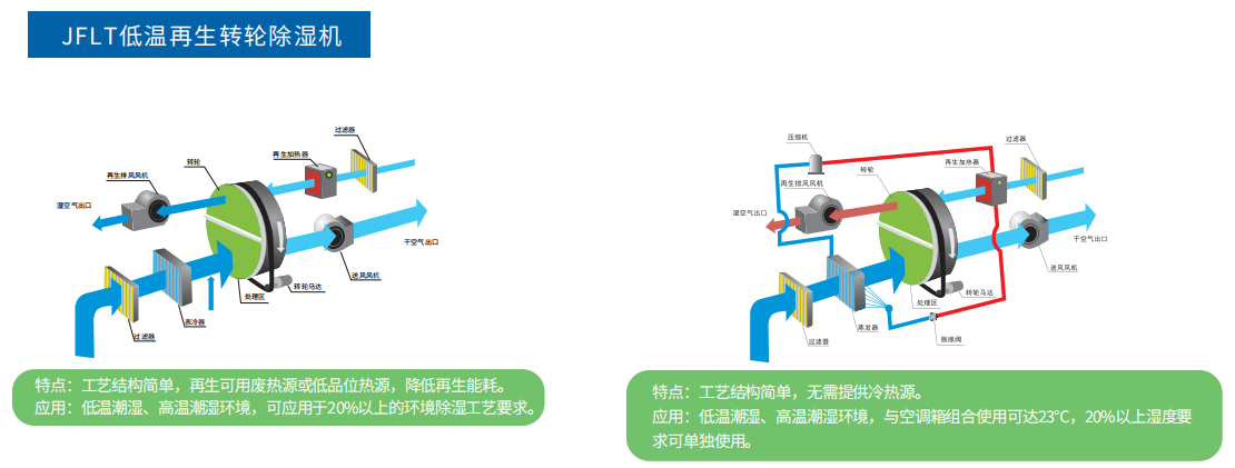 15公分乌桕的市场价格走势绿意盎然的花卉艺术品