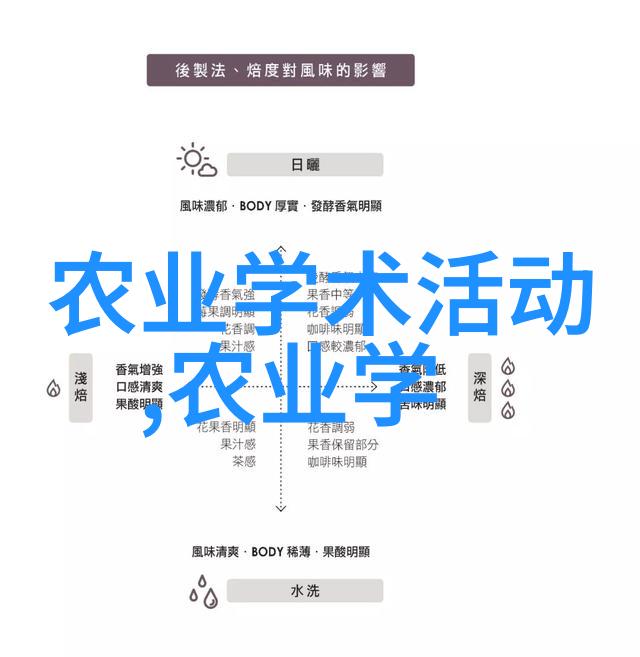 中央民族大学之谜沉默的图书馆与失落的文明