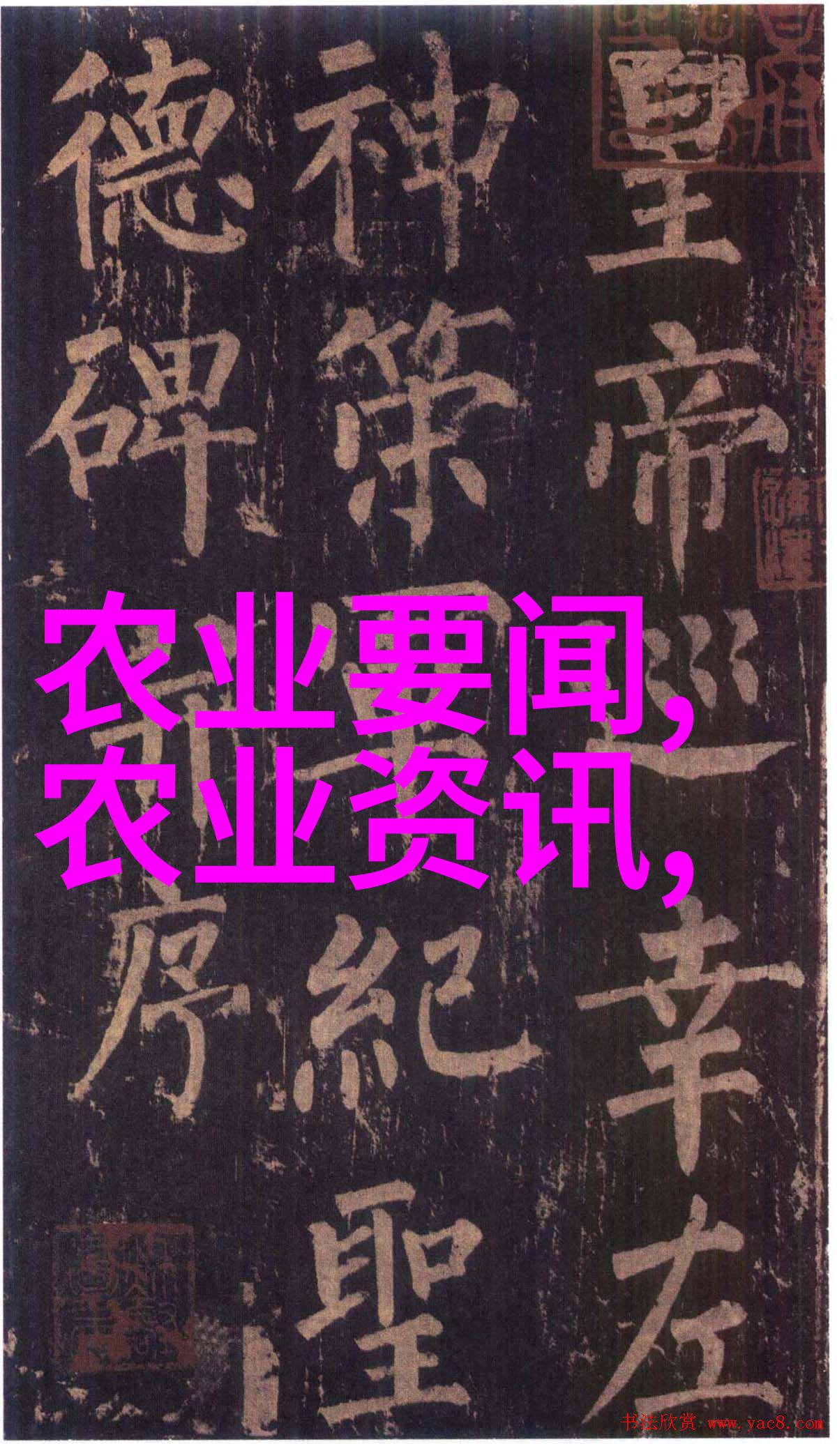 人物面临奶牛产奶稀问题如何应对探讨2023年养殖羊的前景