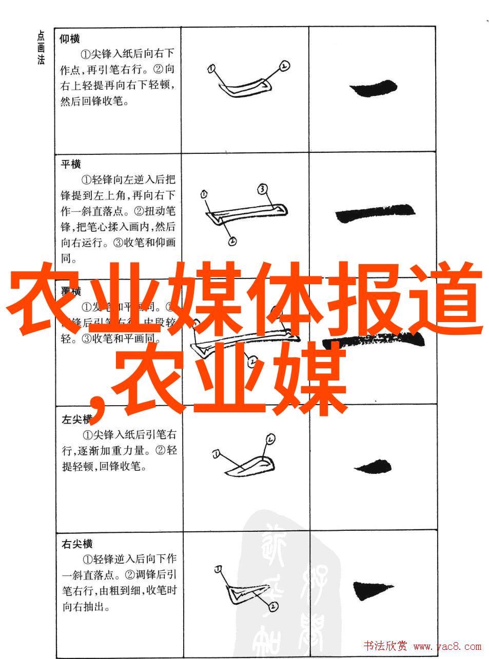 探秘西安苗木市场寻找最佳花卉选择