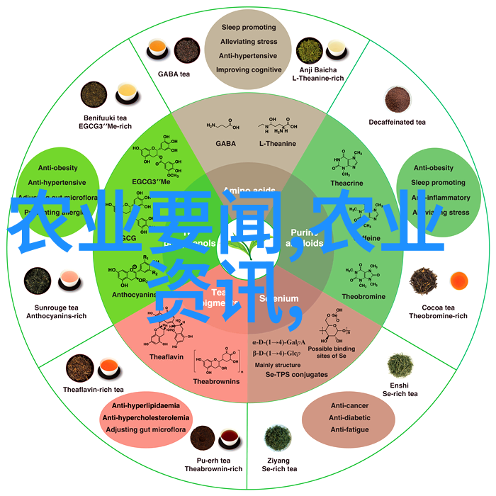 花卉百科全书解锁花香世界的奥秘与魅力