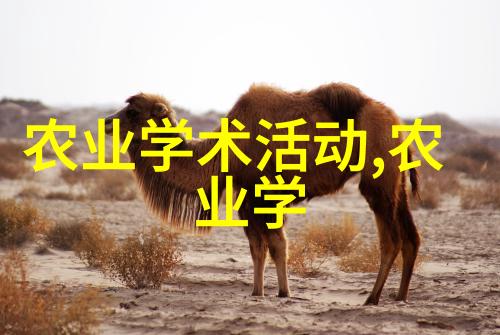 码的自由探索无人区的数字秘密