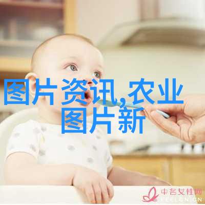 农业新贵与传统佳作比较分析当前市场上最高回报率的农产品