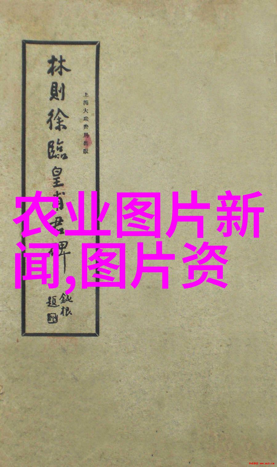 黄鳝生长周期及其生长促进策略