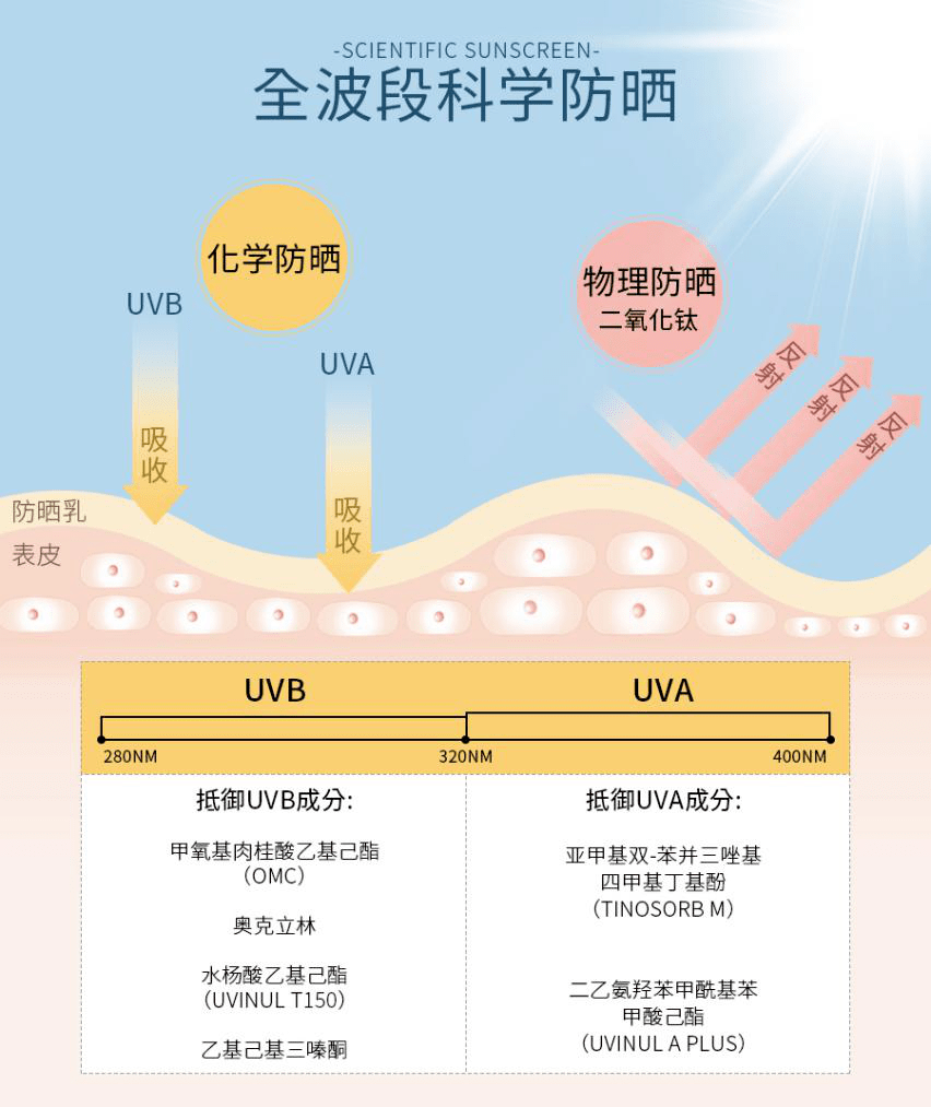 如何选择适合室内的盆栽花卉