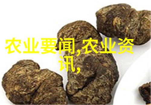 农业网种植蔬菜-绿色生态智慧农业网的蔬菜种植新篇章