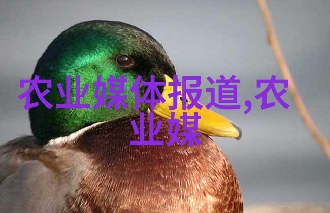 蒜香波动大蒜期货的韵律之歌