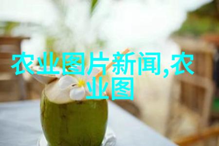 蜂群守暖五脾蜂过冬的糖果秘诀