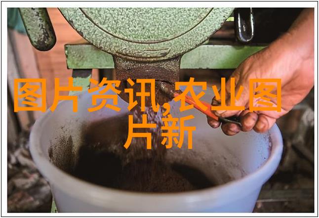 中国最贵的茶叶4亿华顶云雾茶沉默的诗人在山间低语