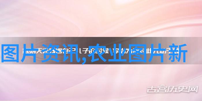 稻田泥鳅养殖技术-浅析高效稻田泥鳅养殖的关键技术与实践