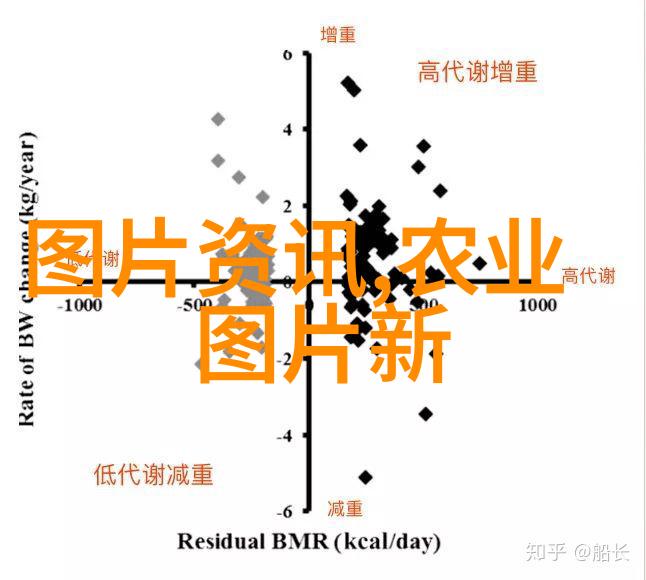 养肥猪的经验和方法我的几条金玉良言