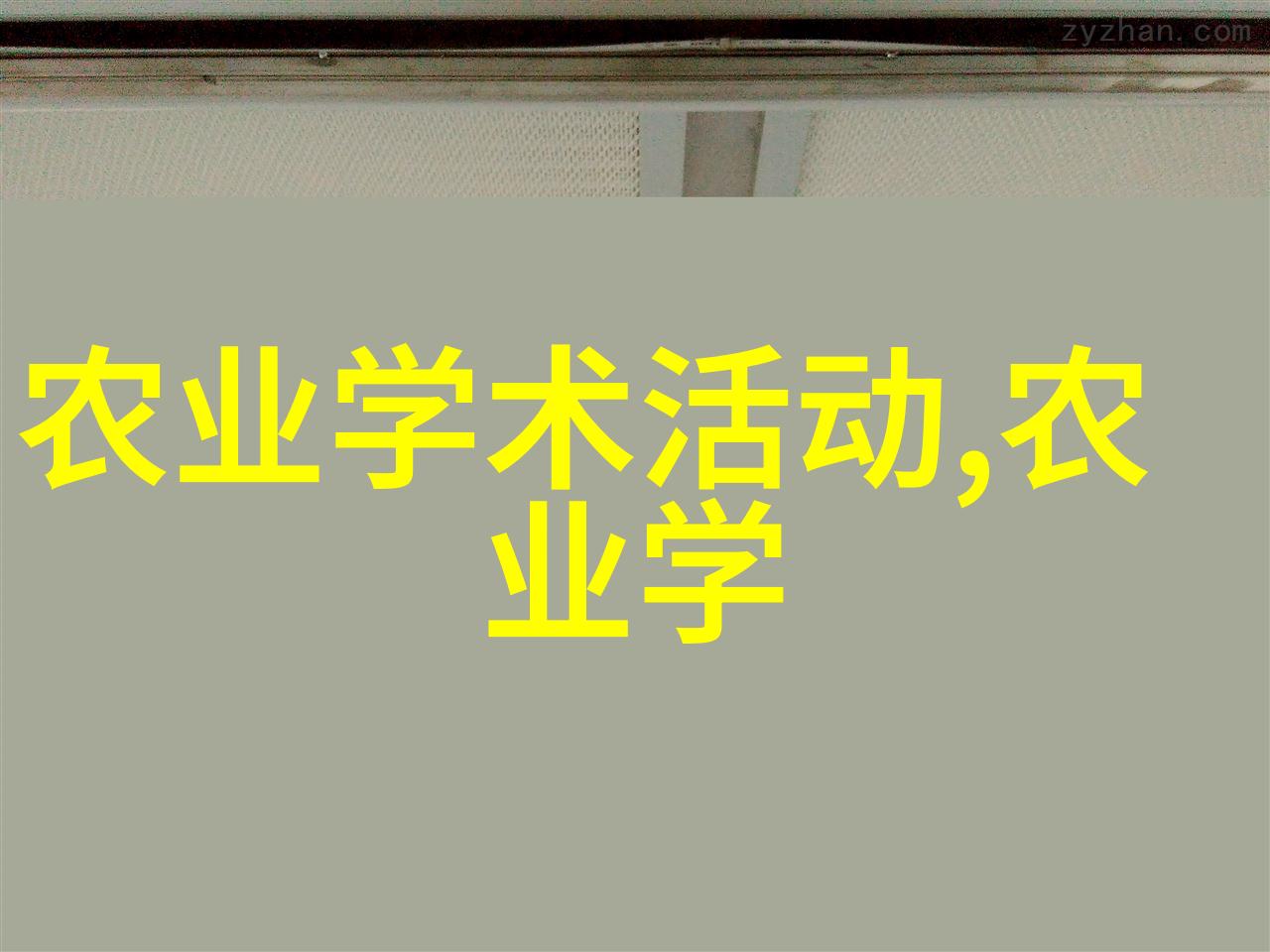 泥鳅养殖技艺全书揭秘水生珍宝的成功培育方法