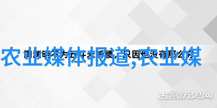 羊群在大棚里的幸福生活如何规划和建设养羊大棚