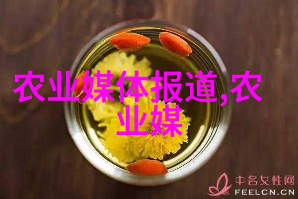 智能化进步新一代饲料机如何优化动物养殖效率