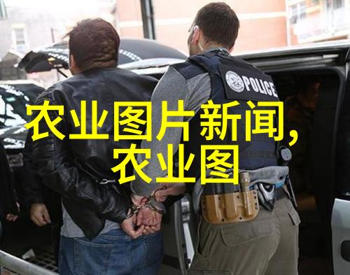 蜂舞中的方格守护者与绽放