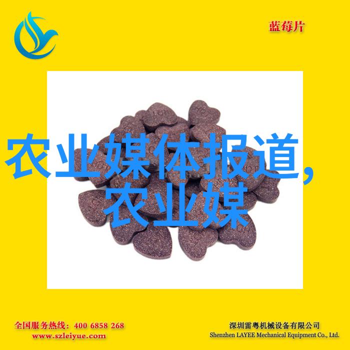 蜂舞与智慧飞哥的黄金蜜源秘诀