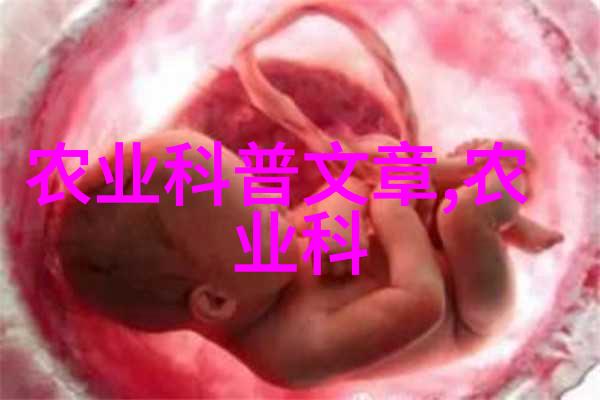 黄鳝养殖技巧提升揭秘高效培育秘诀