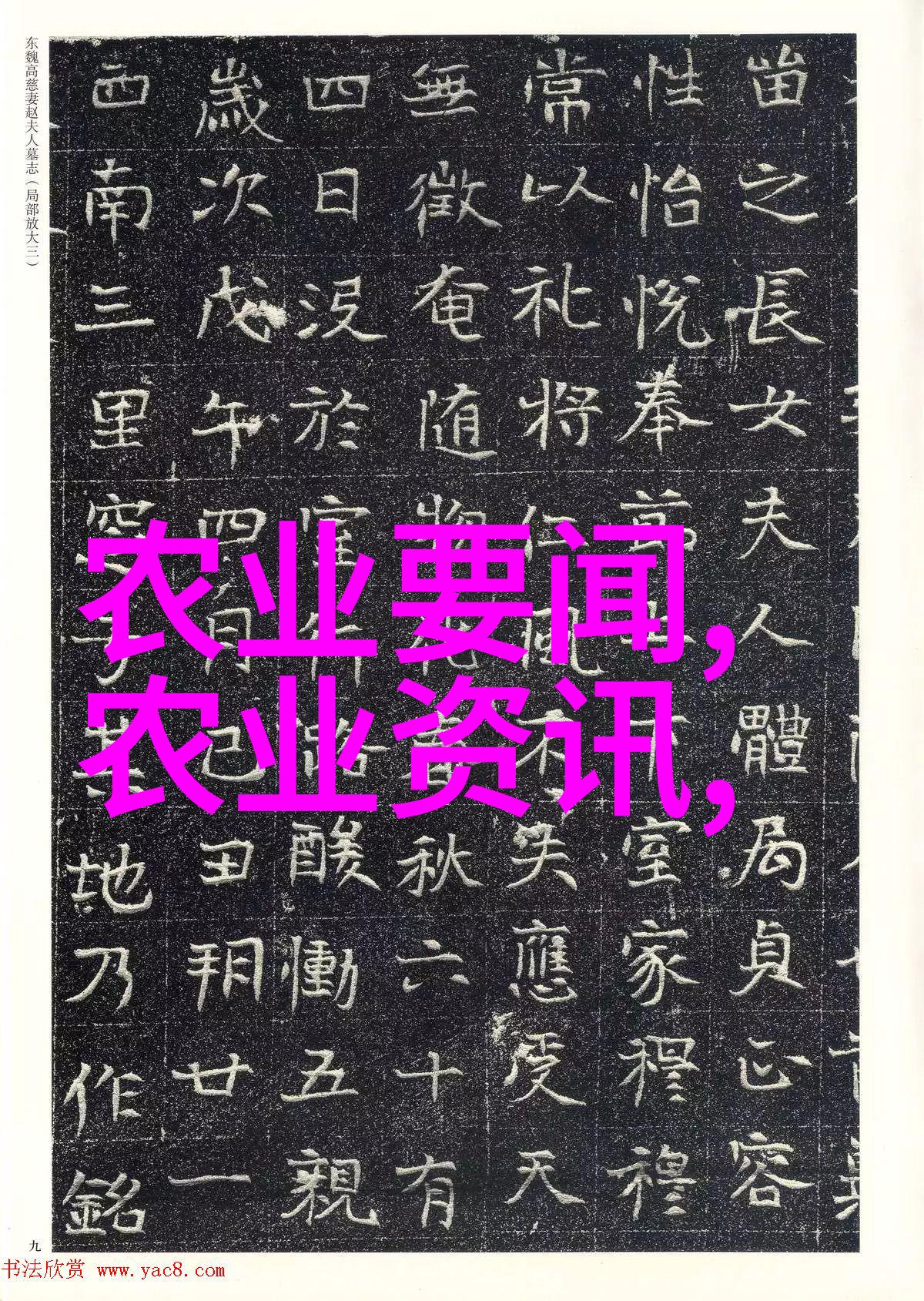 党内法规的类别之下鲜香菇出口协调组理事会精心策划推动了鲜香菇出口同行协议的签署与实施