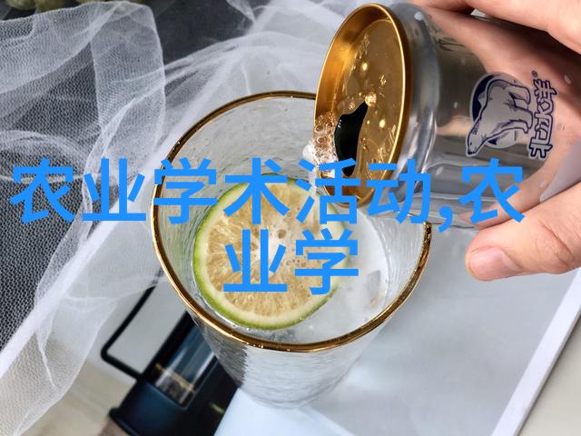 强制标记车潮社会与个人权益的紧张关系探究