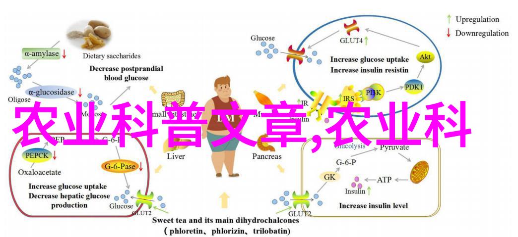 花卉资讯我怎么没想到这10种常见花卉竟然也有毒