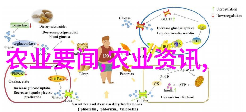 江西秘境寻踪最贵药材的传奇