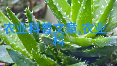 雪花轻抚空心菜如同沉睡中的公主需以温暖的管理措施为之编织梦幕