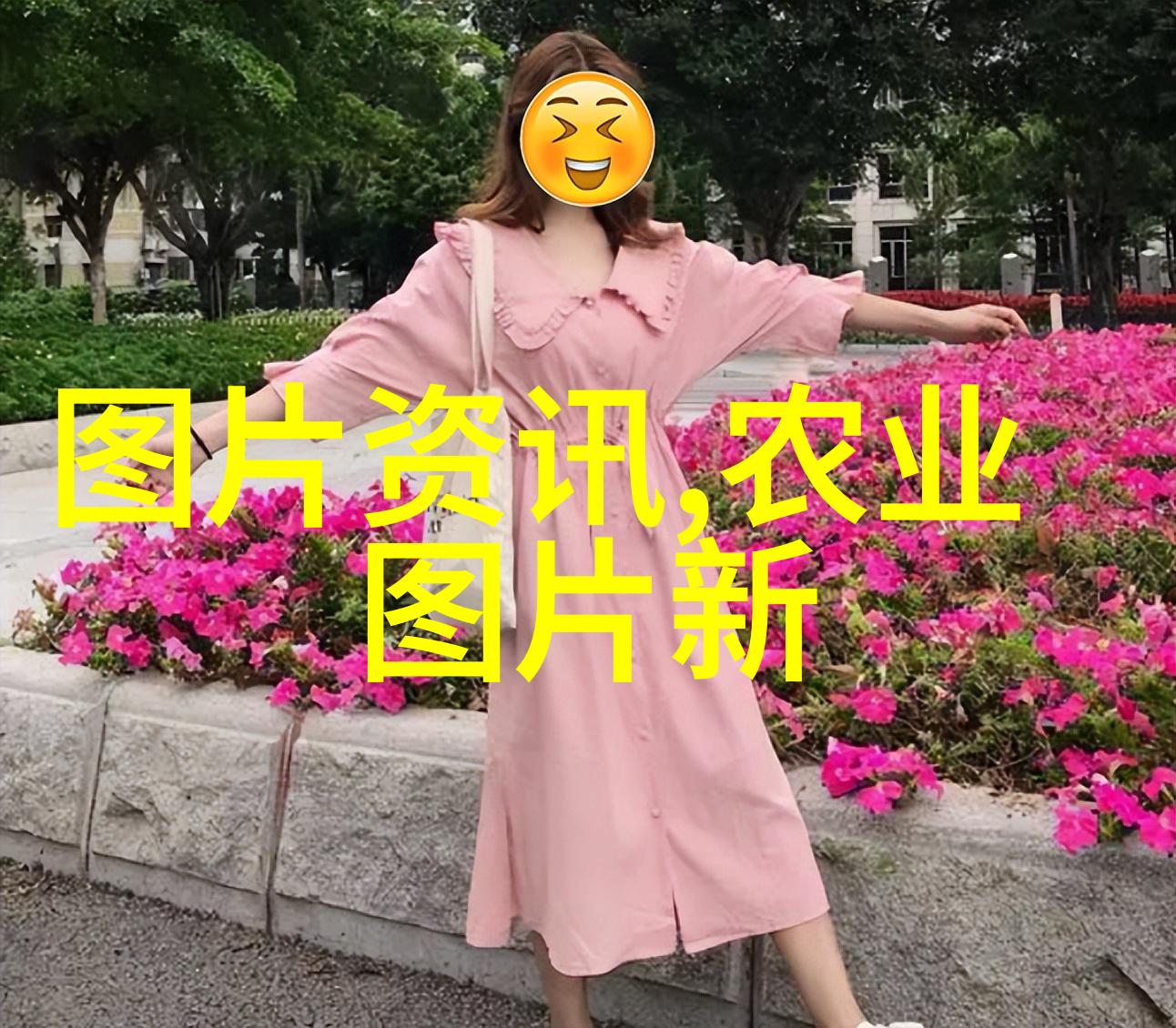 家庭园艺小知识如何正确保存和播下你的水果蔬菜种子