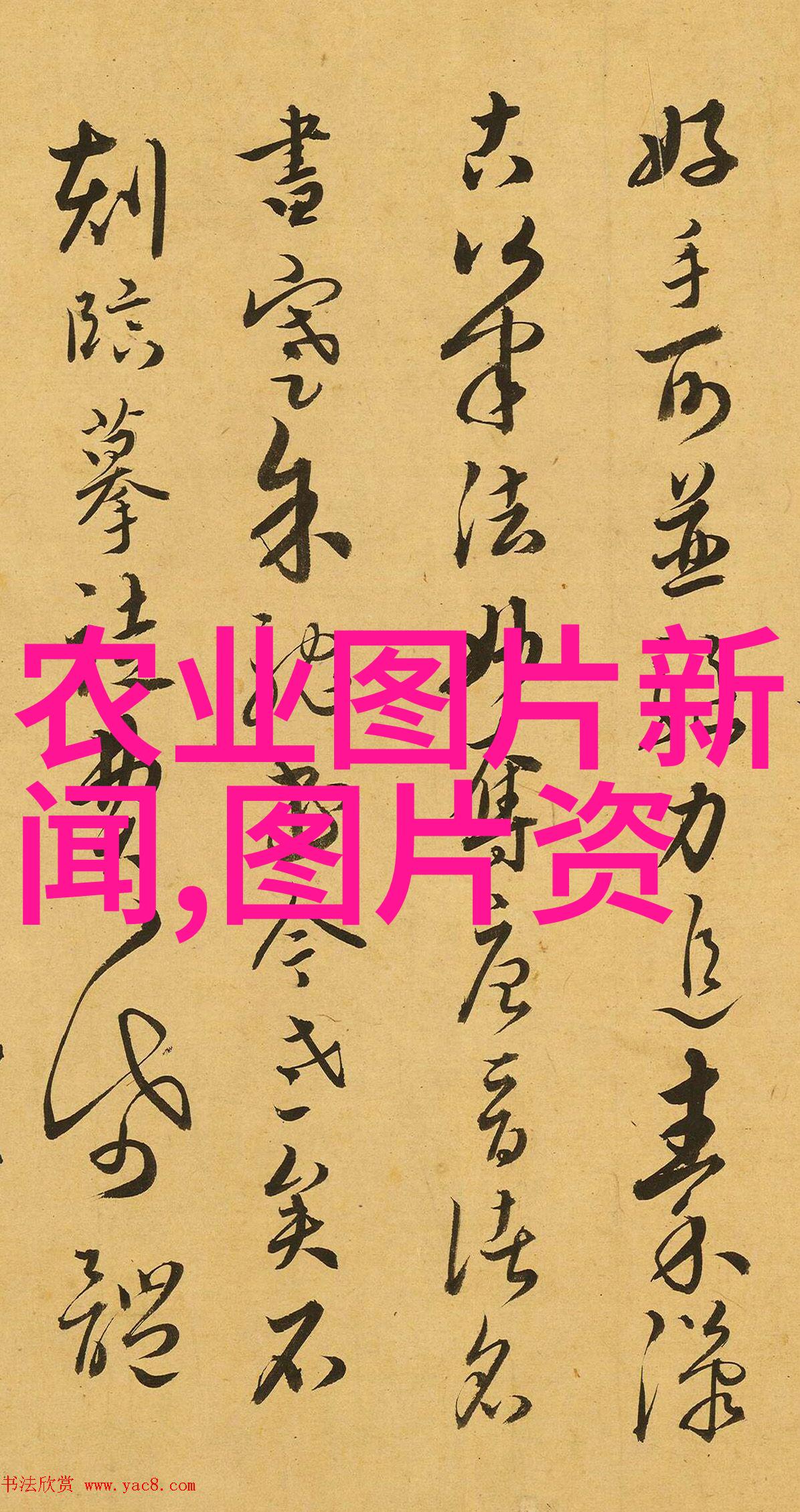 黄鳝养殖技术全解析从基因改良到环境适应的高效育种法