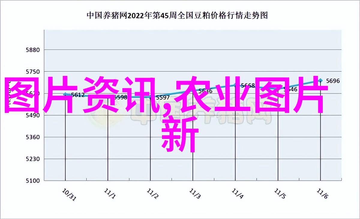 百头牛群的家园-100头养牛大棚建设图片从田间到现代化