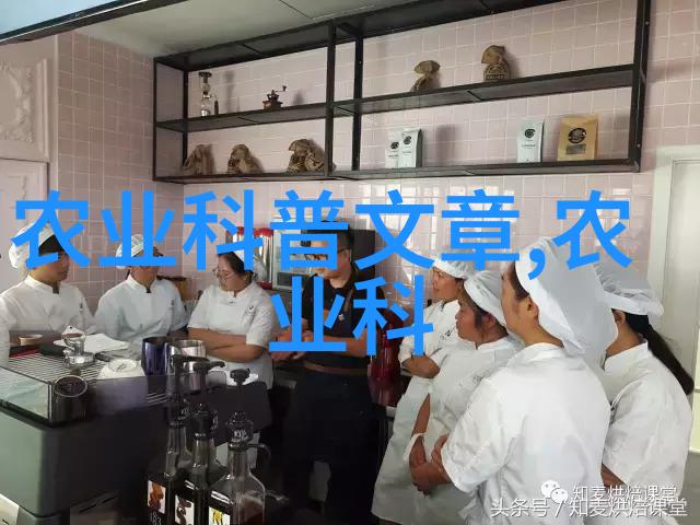 鸡鸭鱼牛羊多样化养殖模式的实践与建议