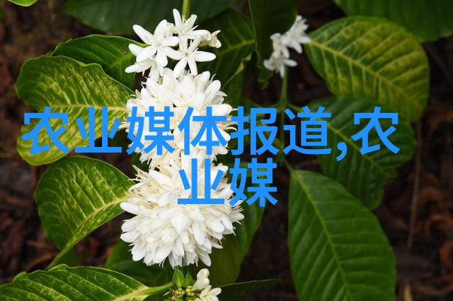 蜂群生存之谜300只蜜蜂能养活一位蜂王吗探究工作者与领袖的相互依存关系