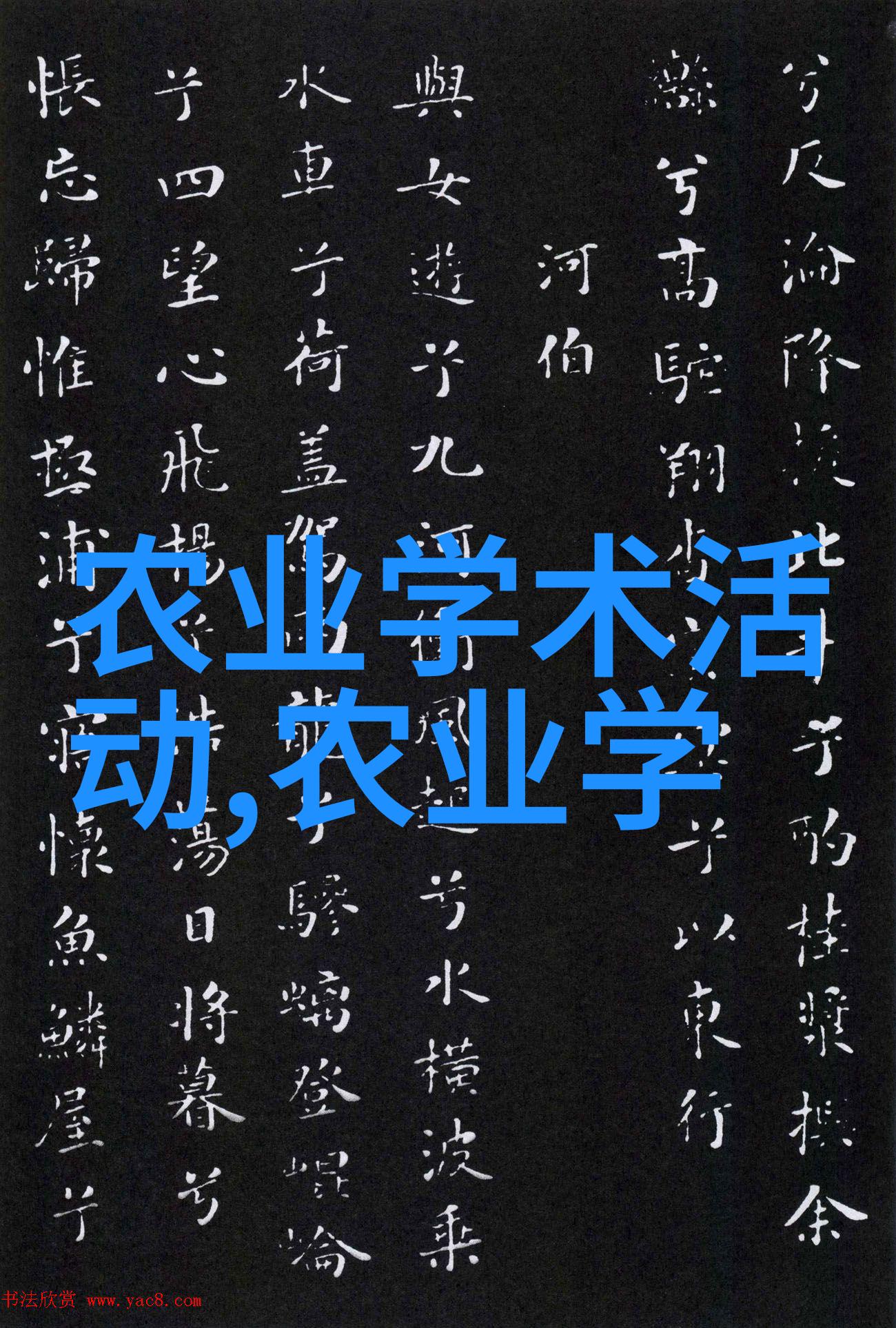 探秘波多野结衣的数字世界从虚构到现实的转变