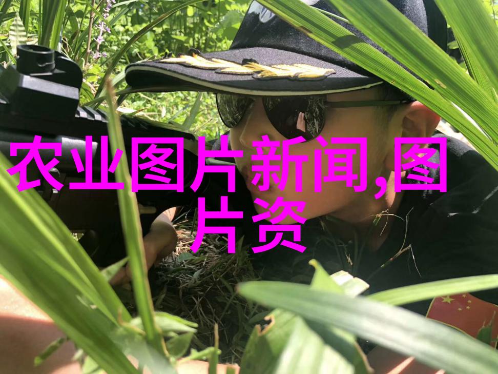 南方蜂舞中蜂养殖的花样箱