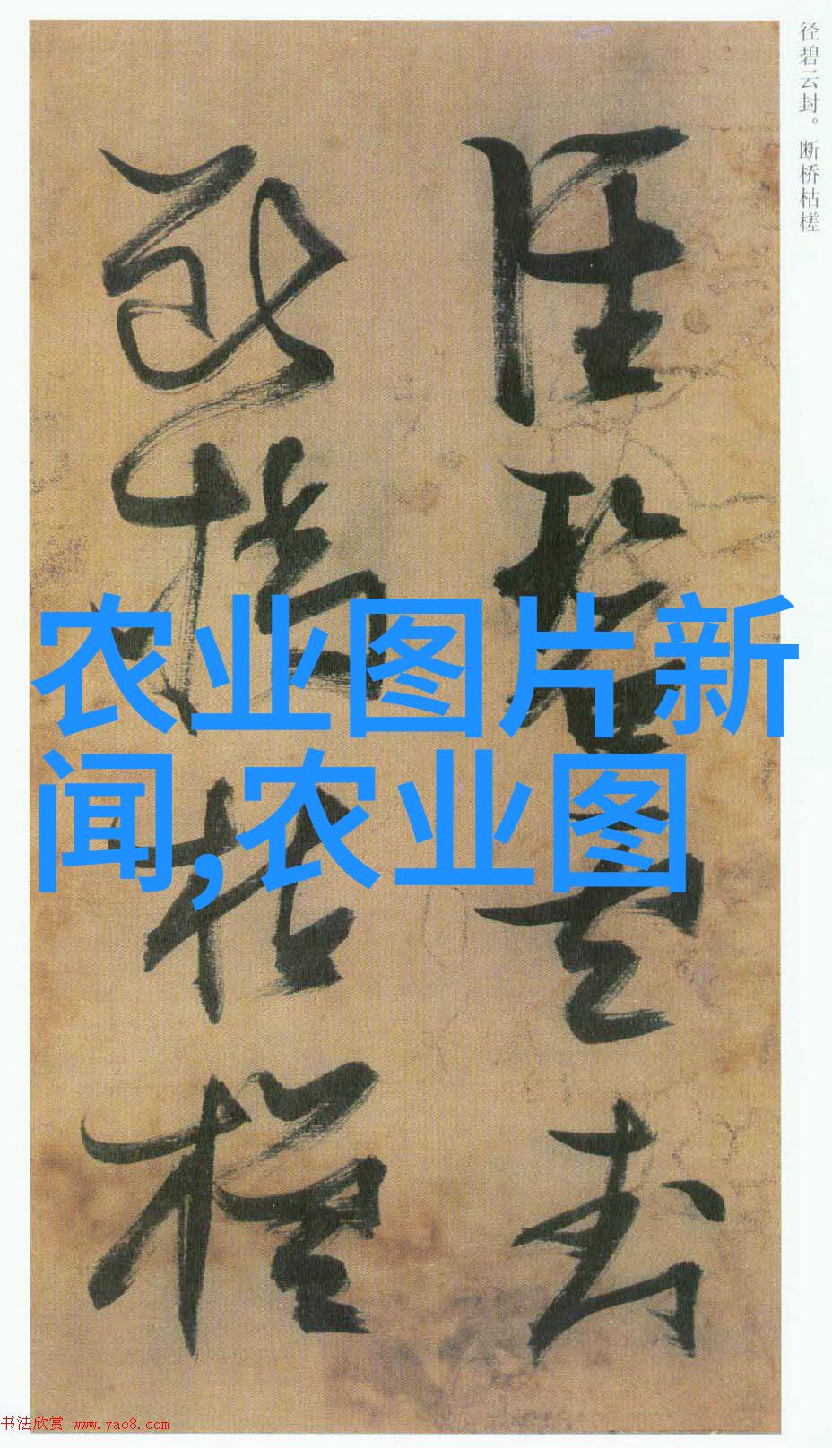 主题我是怎么在网上找到了那款超级实惠的15公分樱花树价格表的