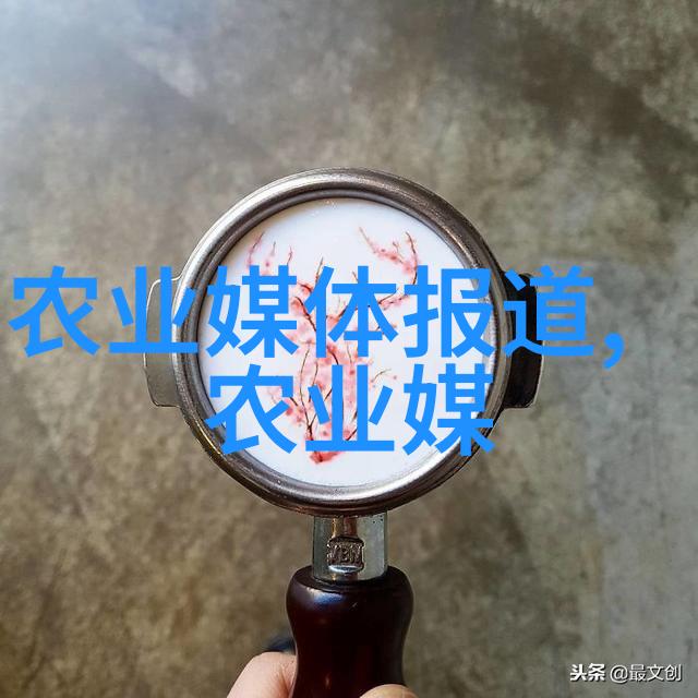 绿意盎然的药草园精选10种可供家庭种植的草本药材