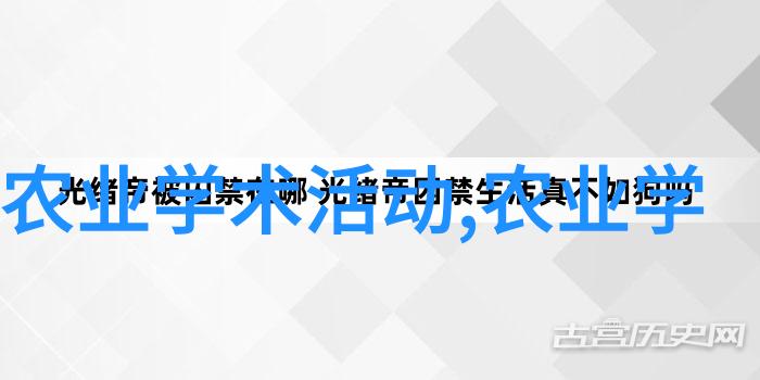 武林中隐世之人二师兄的沉默与力量