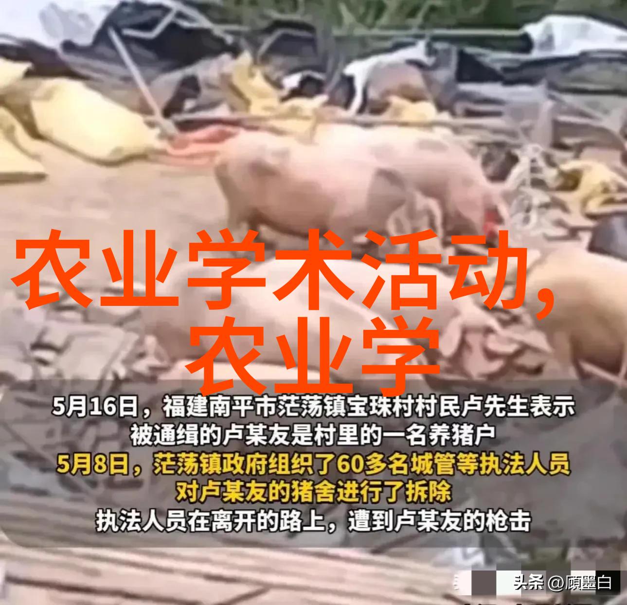 杨树生长最快时段的养殖咨询自然界中的关键年份