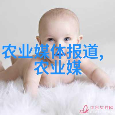 探寻养殖智囊团哪里有提供高质培训的机构