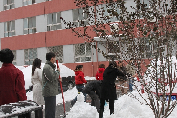 我来告诉你黑龙江这块地适合种什么中药材才能赚大钱