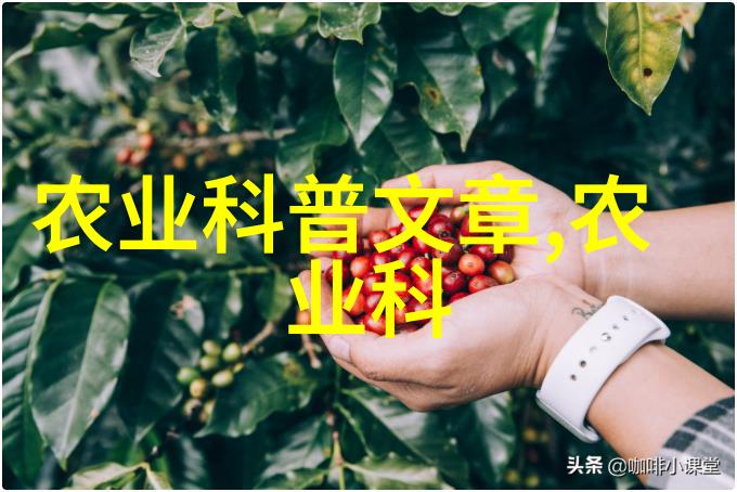 致富指南-精准种植揭秘哪些药材能让你财源滚滚